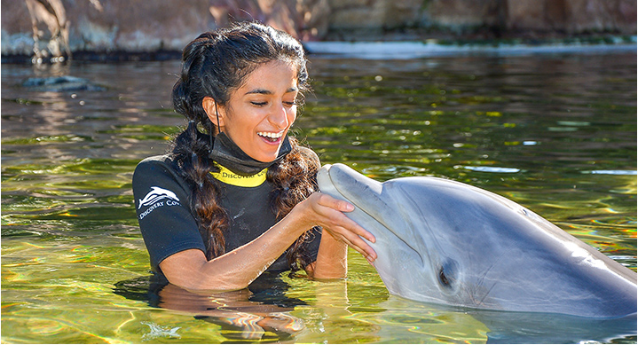 nam-seaworld-1
